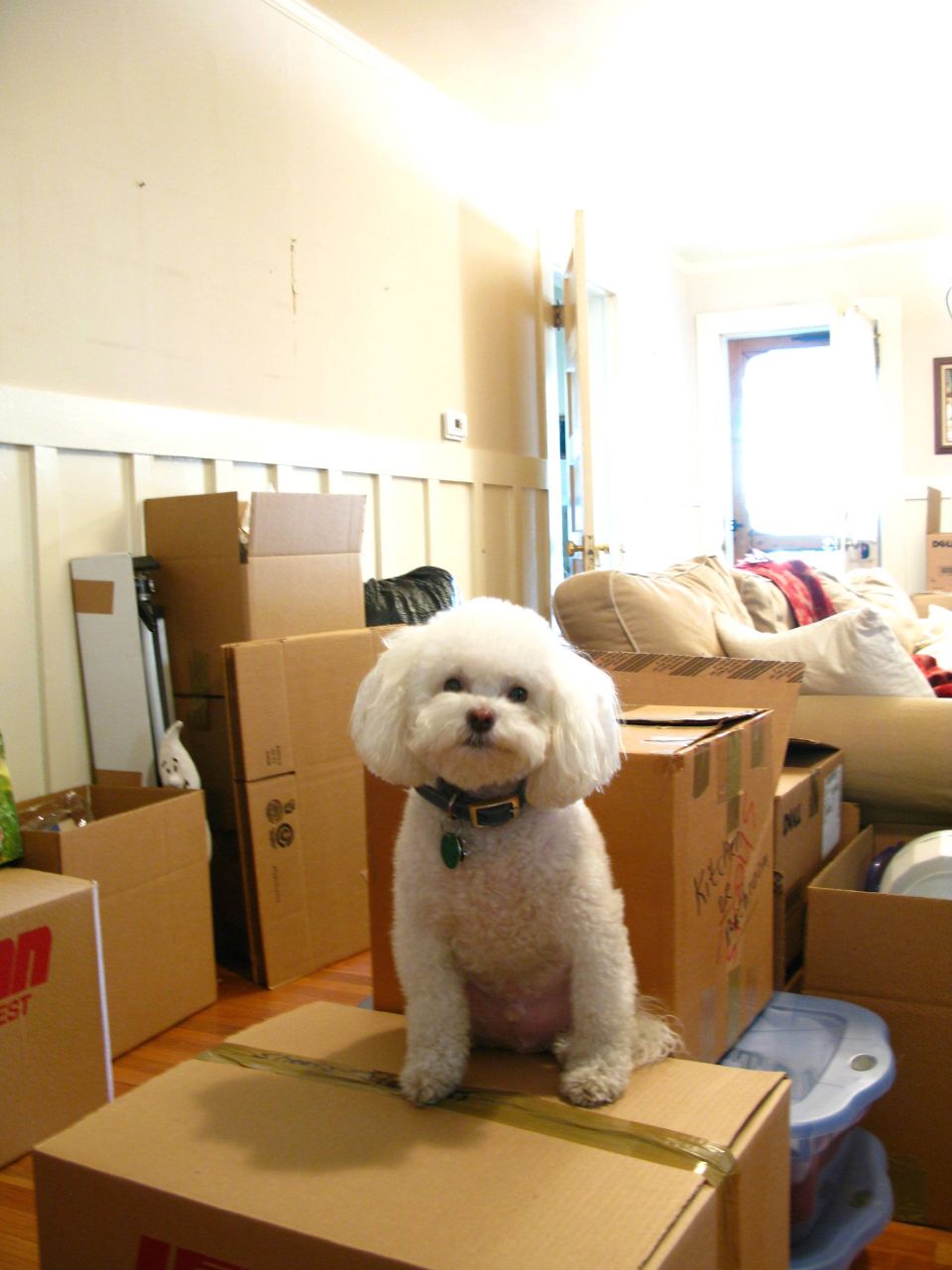 moving-house-flickr