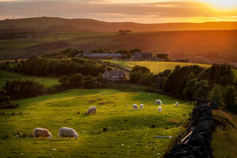 countryside-environment