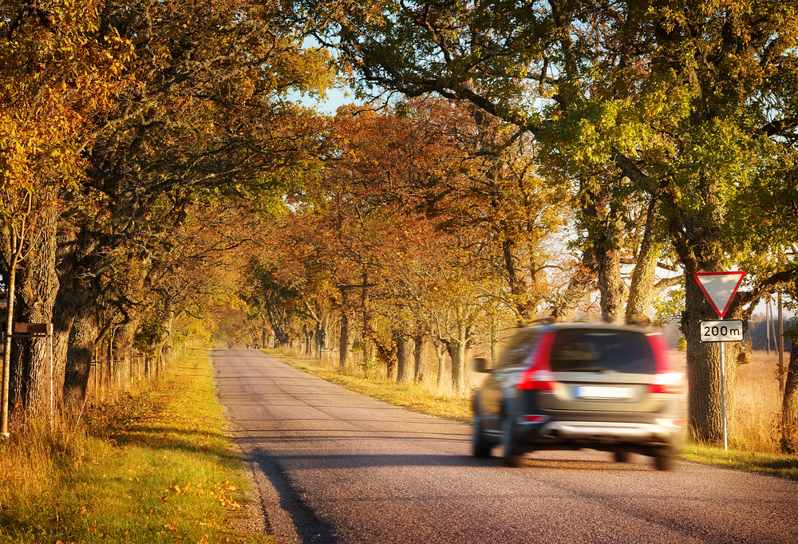 driving-in-the-countryside