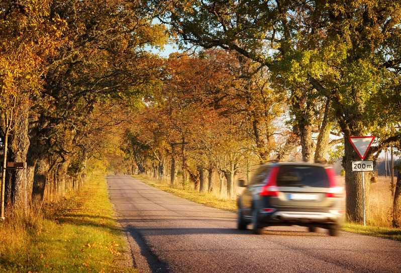 driving-in-the-countryside